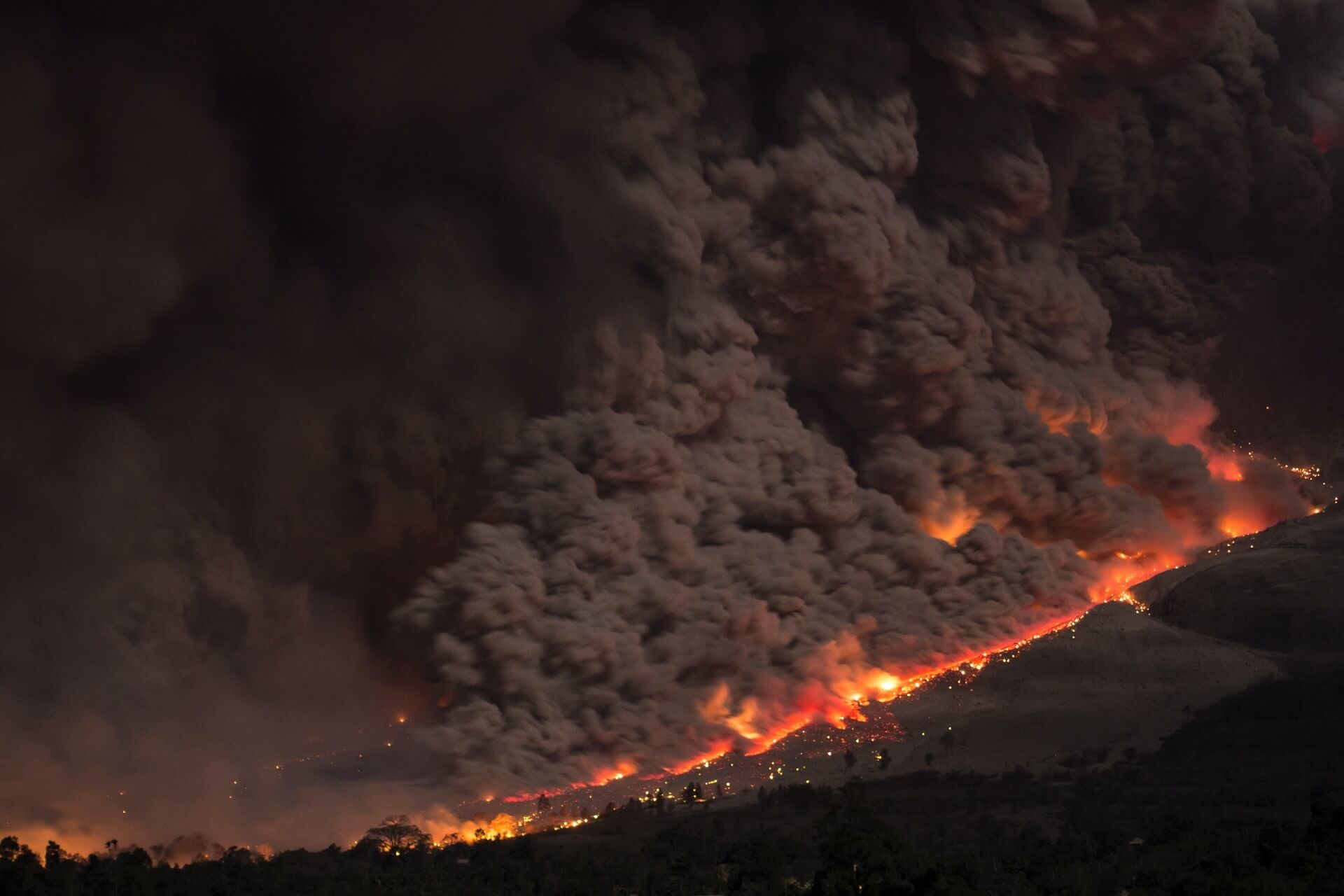 nature, human, health